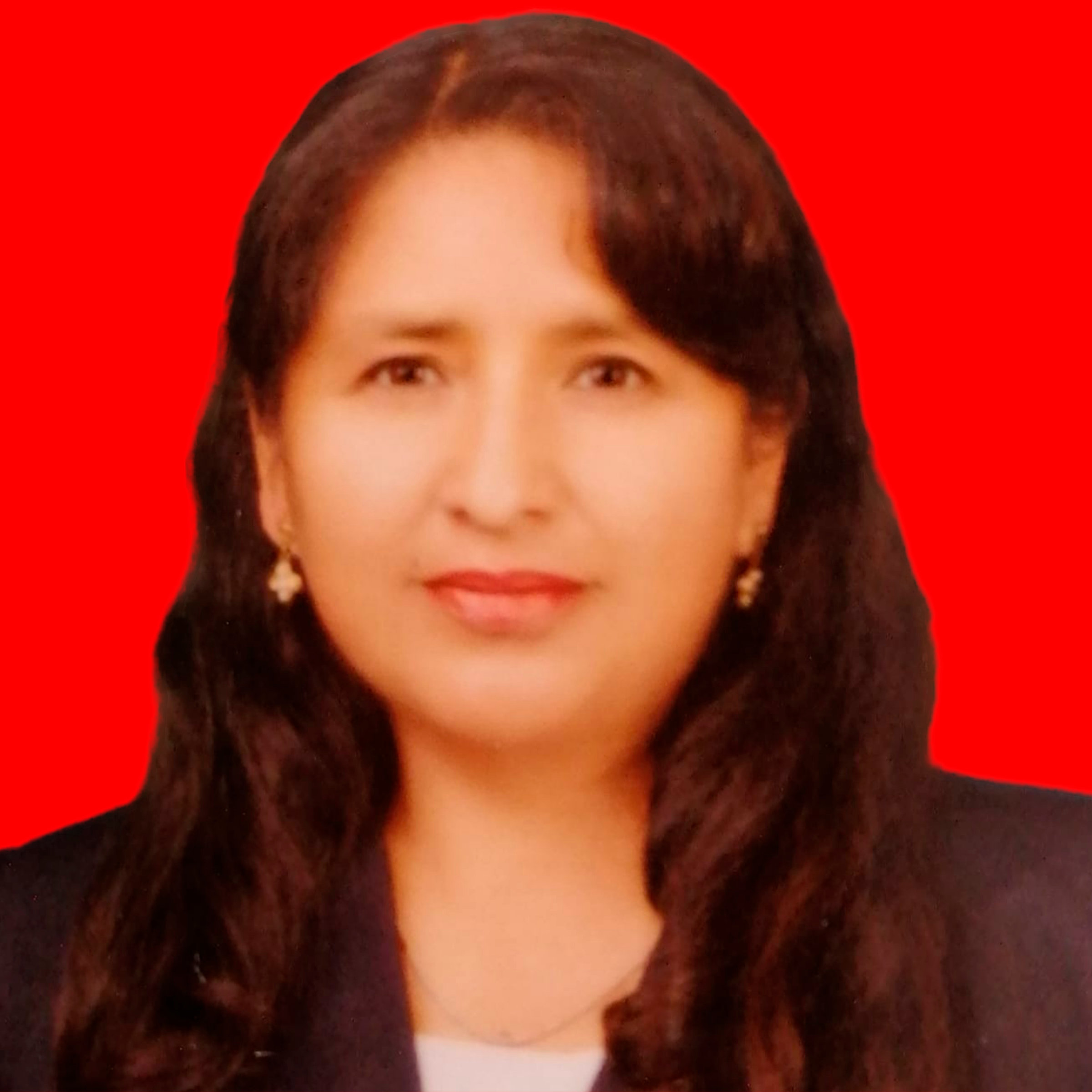Prof. Daysi Aydee Calani Gabriel