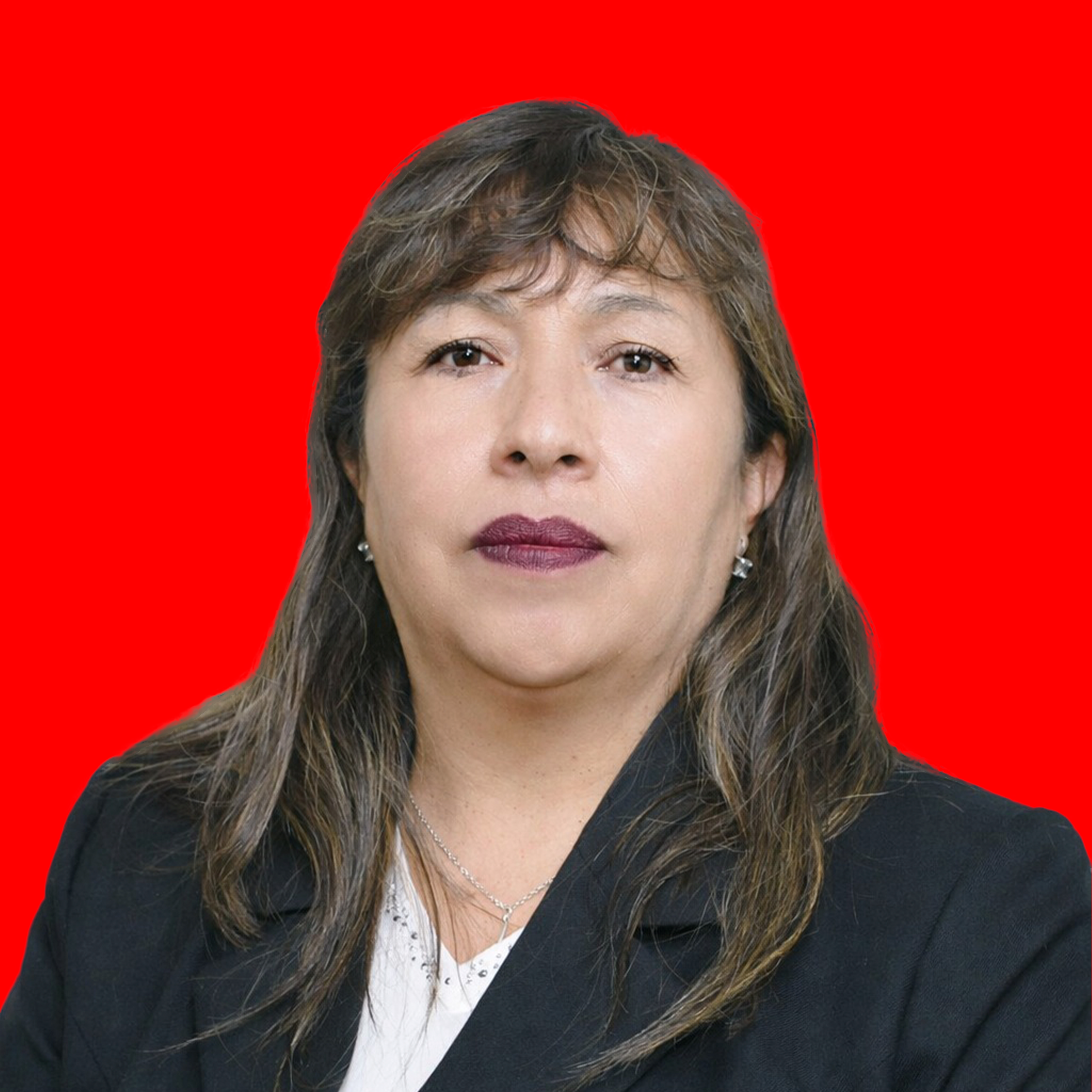 Prof. Jenny Veronica Flores Yugar
