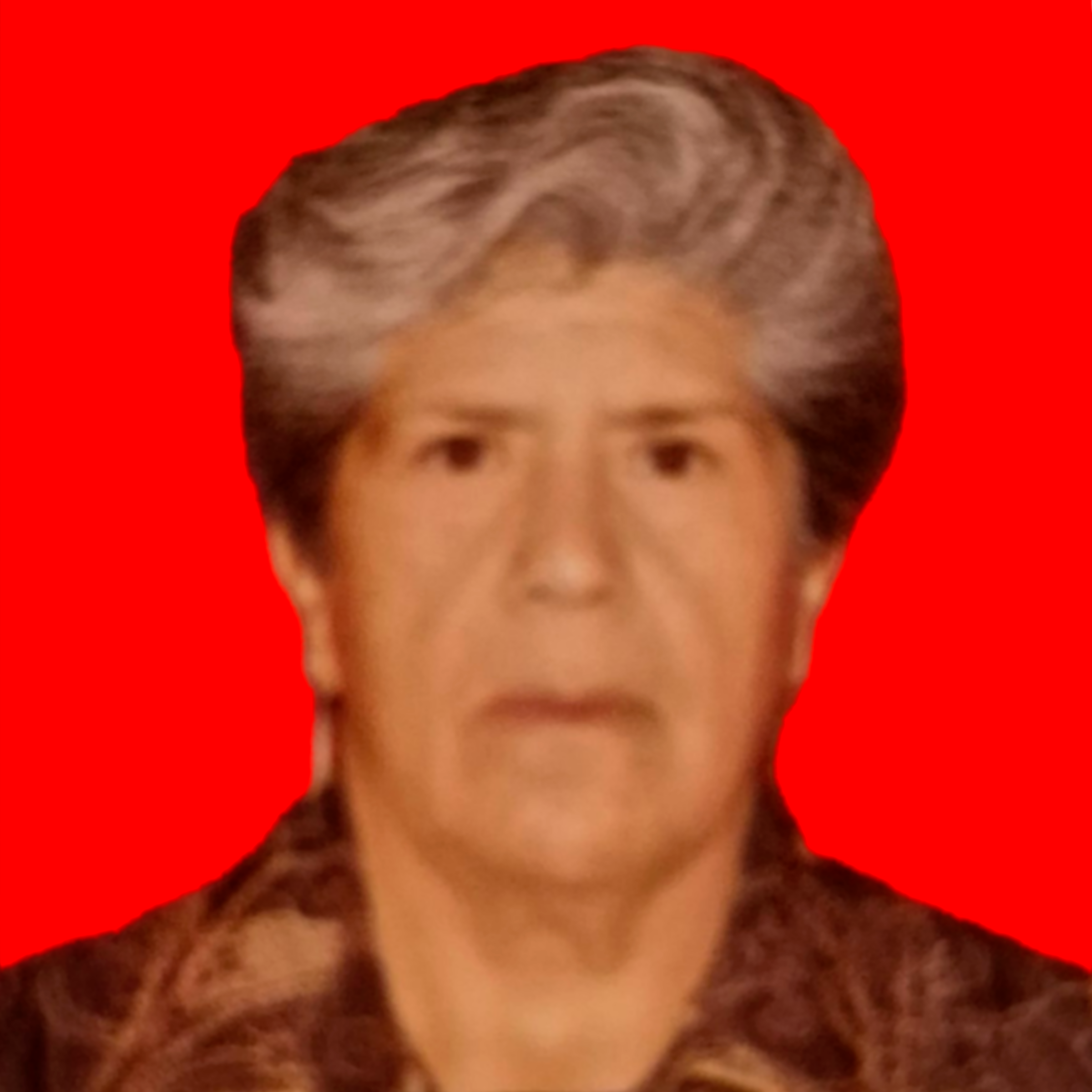 Lic. Luzmia Perez Rueda