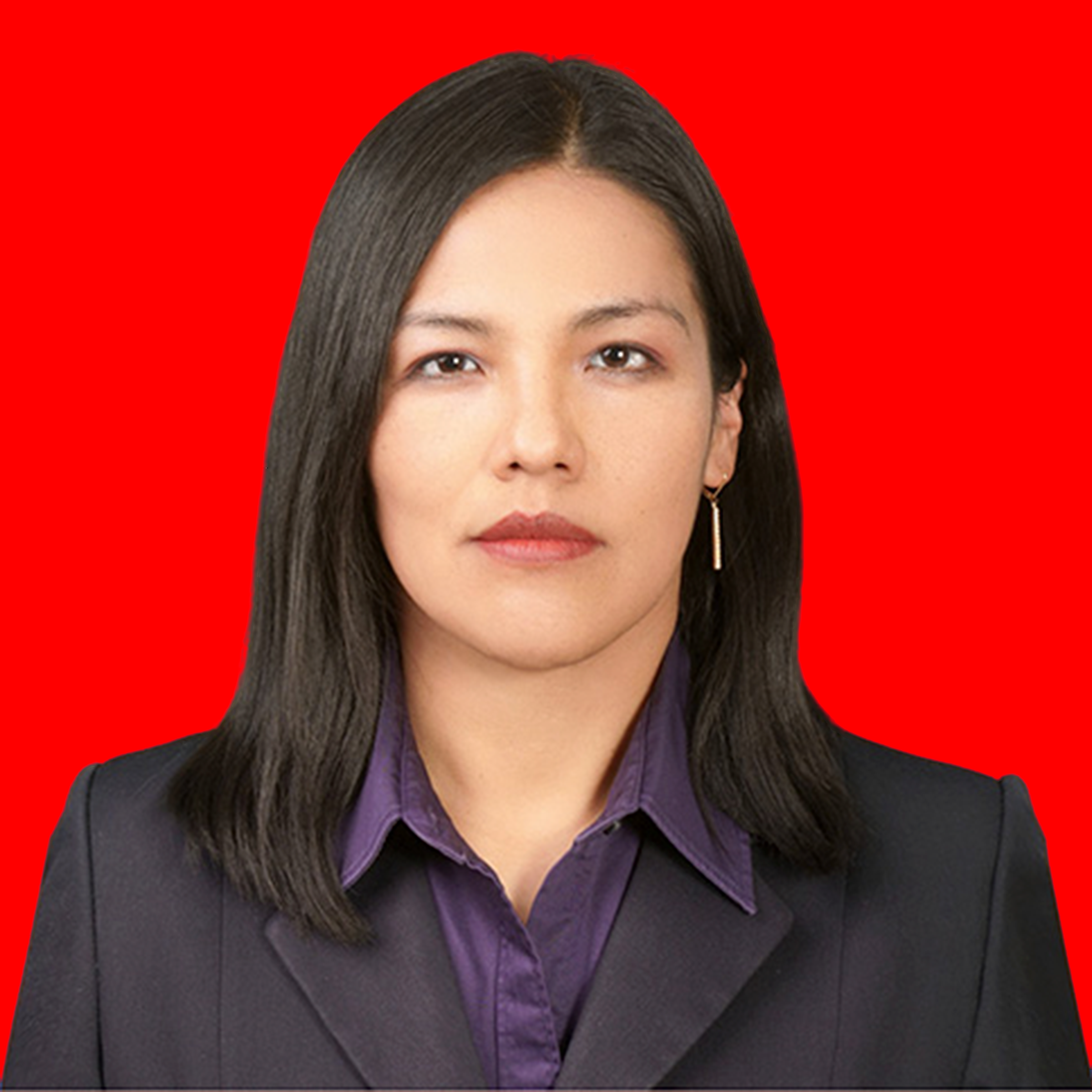 lic. Maria E. Cabezas Mamani